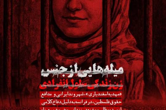 مجموعه پوستر : آزادی بیان در غرب دروغی بیش نیست