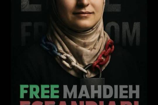 مجموعه پوستر : آزادی بیان و حقوق بشر اروپایی