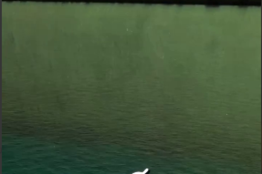 برای ظهور آدم خوبی بشو