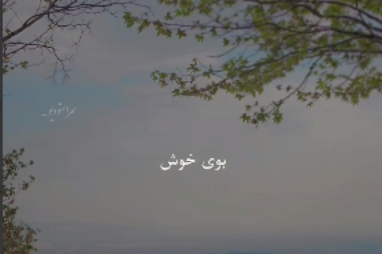 زن، هوایی ست که فضای خانواده را انباشت