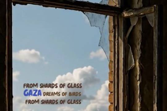 FROM SHARDS OF GLASS GAZA DREAMS OF BIRDS FROM SHARDS OF GLASS