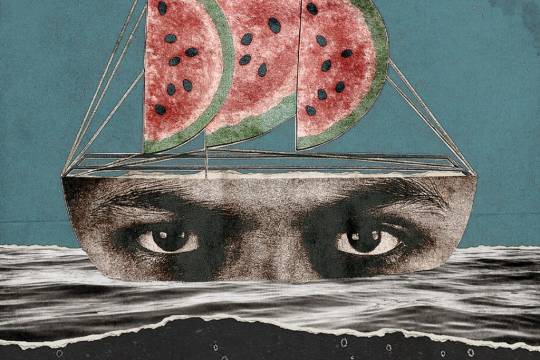 أسطول الصمود العالمي