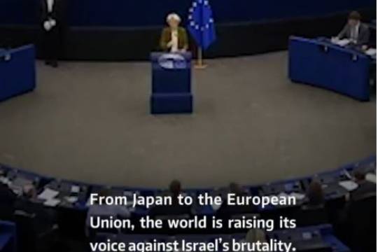 From Japan to the European Union, the world is raising its voice against lsrael's brutality