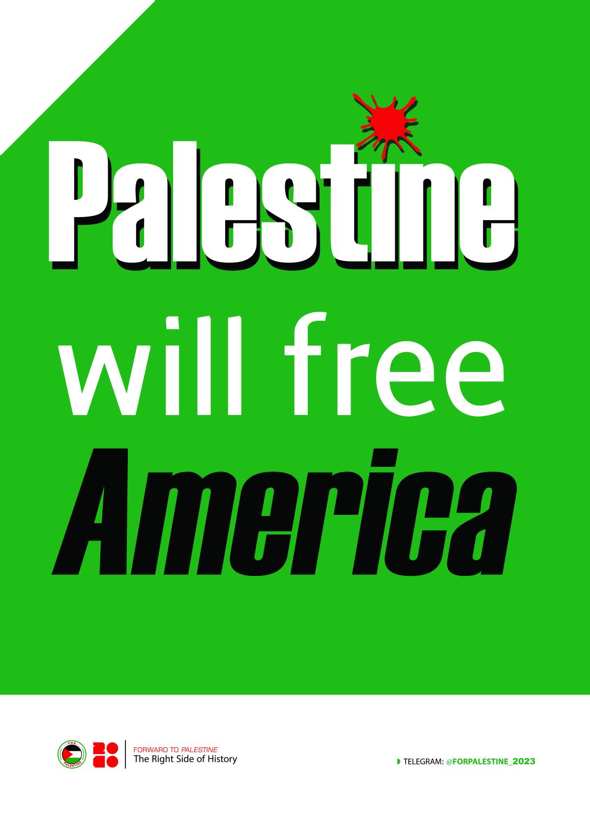 Palestine will free America,free