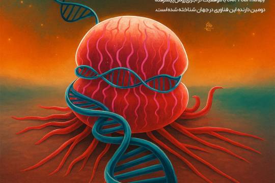 مجموعه پوستر : خودکفایی ایران