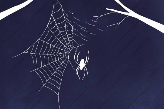 مجموعه پوستر : طوفان در خانه عنکبوت