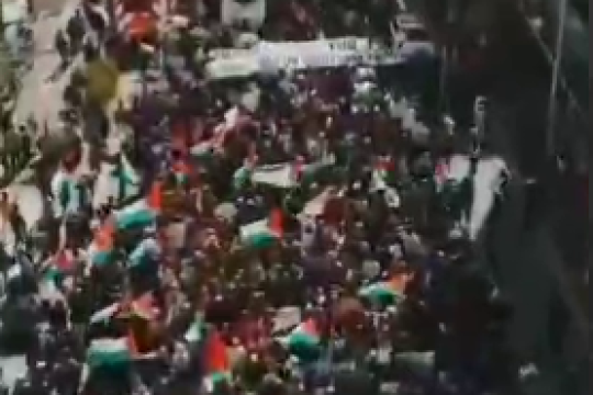 فلسطین، مساله اول آزادی‌خواهان