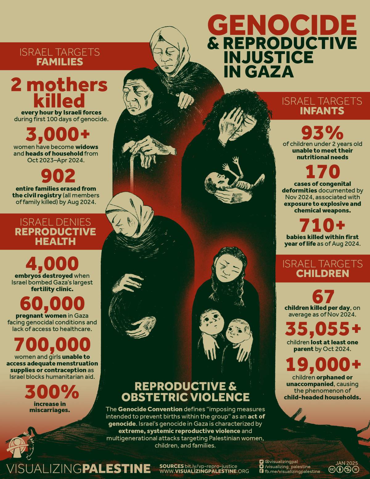 Genocide & Reproductive Injustice in Gaza