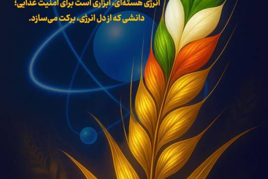 ابزار امنیت غذایی