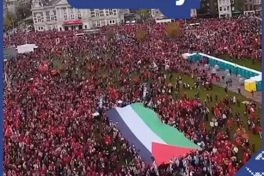 People in Barcelona, Madrid, Pamplona, and Amsterdam