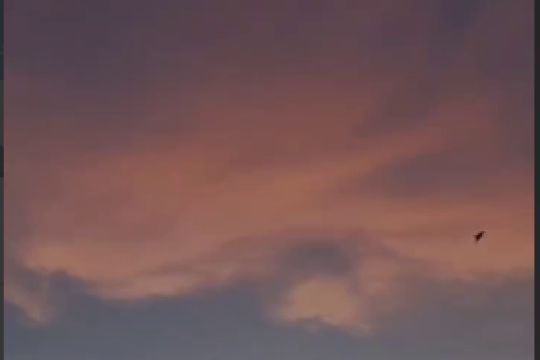 از شوق شکر خندلبش جان نسپردم شرمنده ی جانان ز گران جانی خویشم