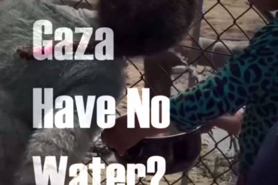 Why Does Gaza Have No Water