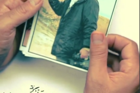 شقایق های آتش گرفته