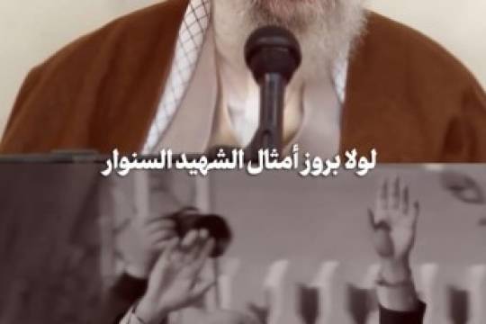 الشهادات التي تصنع مصير المـقاومة