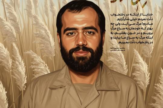 مجموعه پوستر : امین هور