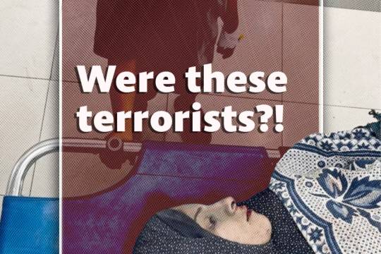 Were these terrorists(1)
