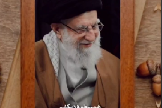 همیشه خودشان ضربه خوردند