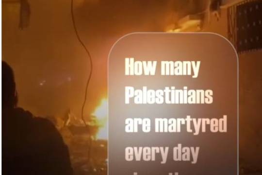 How many Palestinians are martyred every day since the so called ceasefire