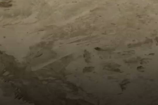 when Al-Fashir drowned in the blood of civilians, the world sat comfortably in the seats of spectators