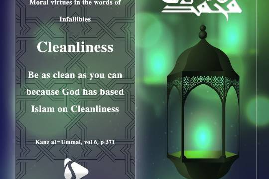 Prophet Muhammad (PBUH) Said: Be as clean as you can because God has based Islam on Cleanliness