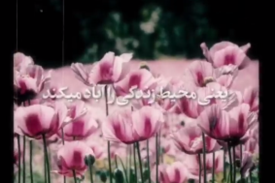 قرآن دستور زندگی هم هست