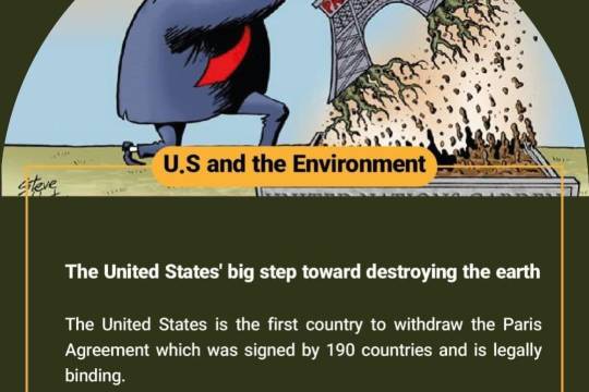 U.S and the Environment(2)