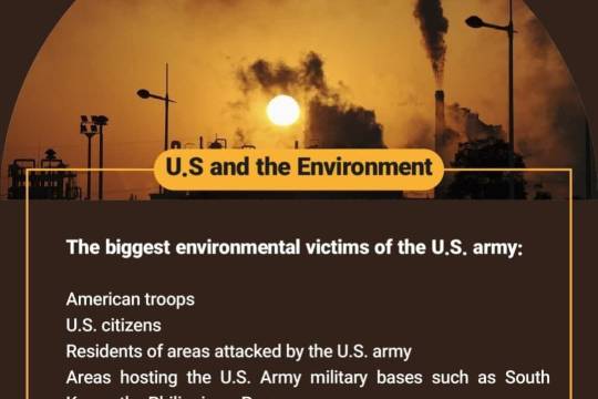 U.S and the Environment(4)