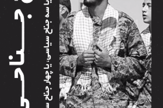 بسیج جناحی نیست