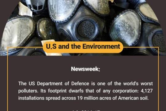 U.S and the Environment(5)