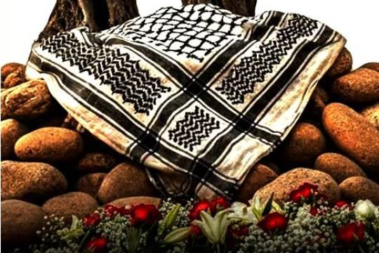 Solidarity with Palestine