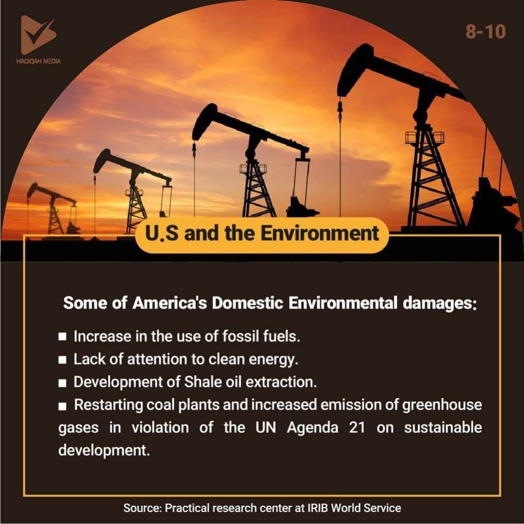 U.S and the Environment(8)