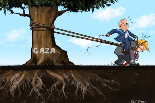 My horse-drawn carriage