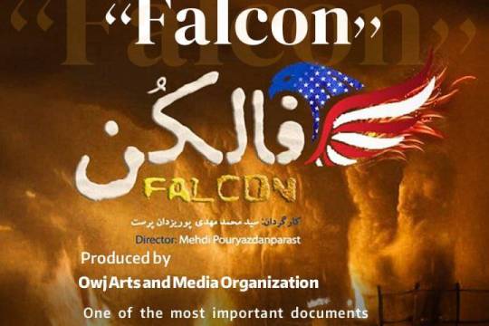 Introduction to the Documentary Falcon
