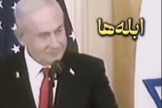 الحمدالله خدا دشمنان مارو از احمق ها آفریده