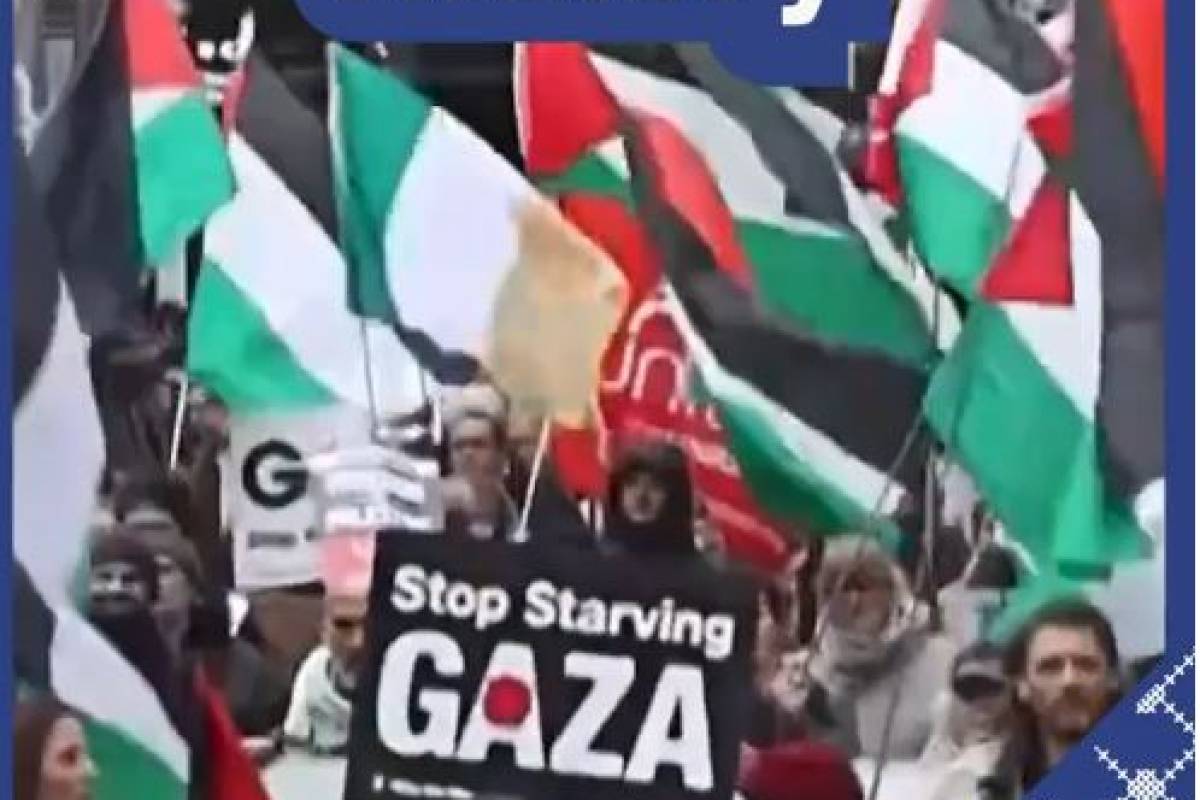 In late November 2025, pro-Palestine solidarity demonstrations took place in London, Rome, Turin, Brussels, Manhattan, and Vancouver