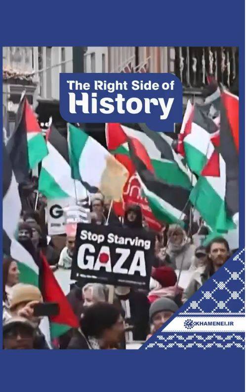 In late November 2025, pro-Palestine solidarity demonstrations took place in London, Rome, Turin, Brussels, Manhattan, and Vancouver