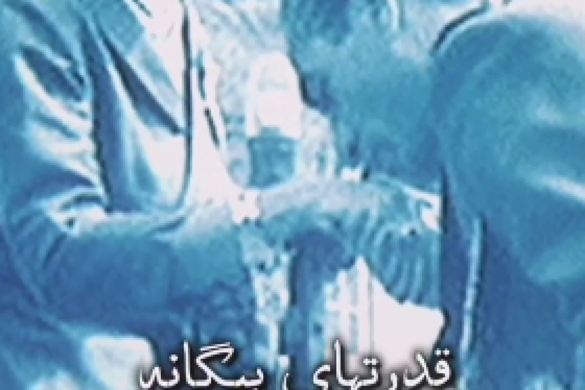 ما تصمیم گرفته ایم که دیگر تحقیر نشویم