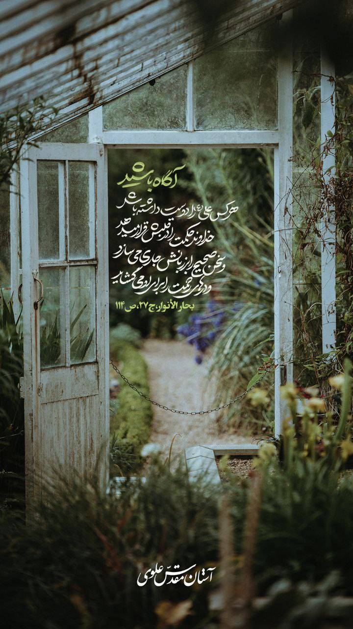 خداوند حکمت را در قلبش قرار میدهد