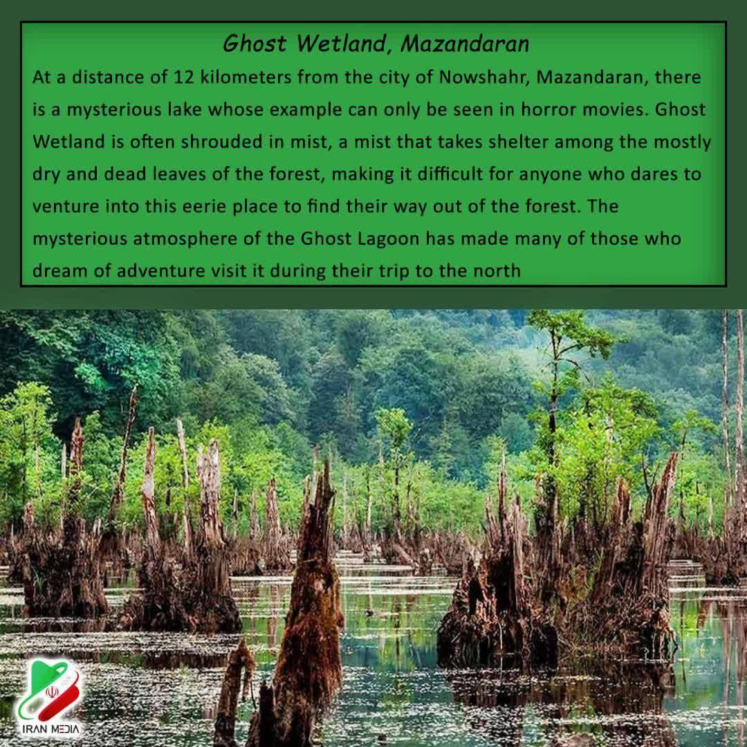 Ghost Wetland, Mazandaran