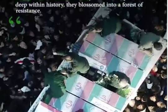 They were laid to rest yet like seeds planted deep within history