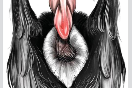 Netanyahu the Vulture!