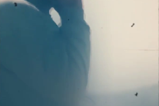 مجموعه ویدیو : گاهی ردپای قهرمانان در سکوت زمان گم نمیشود