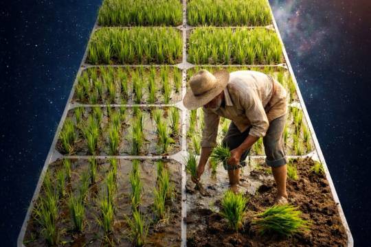 از مدارِ دانش تا برکتِ خاک