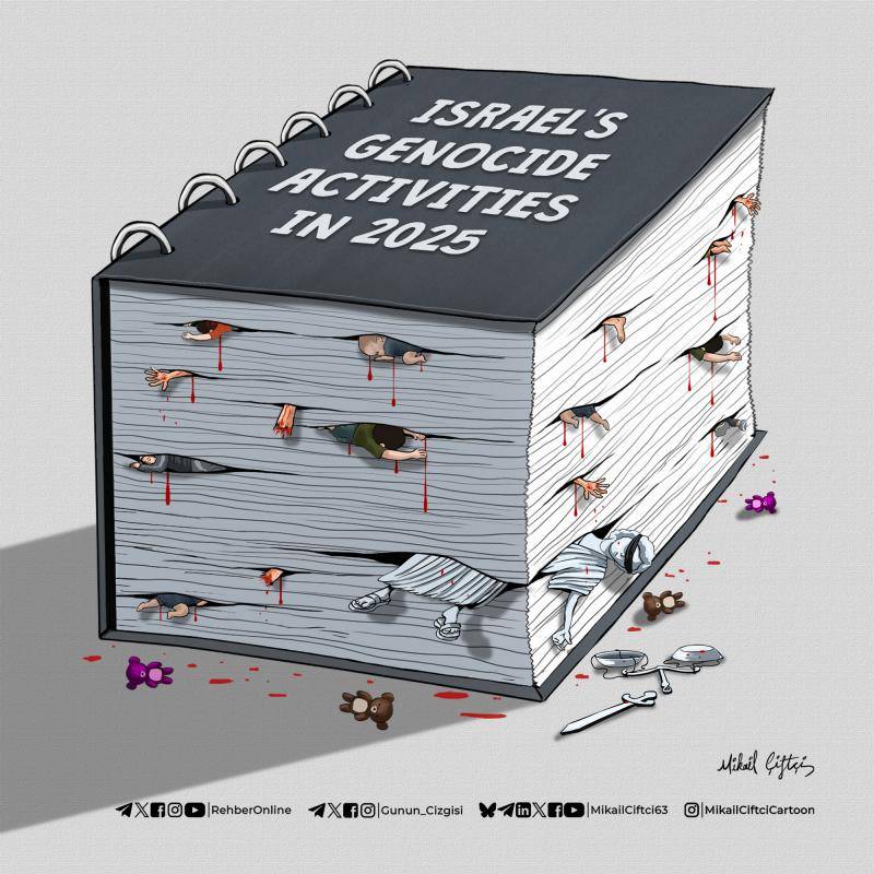 Israel's 2025 Gaza Report