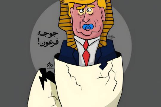 مجموعه پوستر : جوجه فرعون