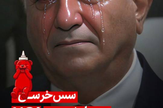 سس خرسی پس از شنیدن نه